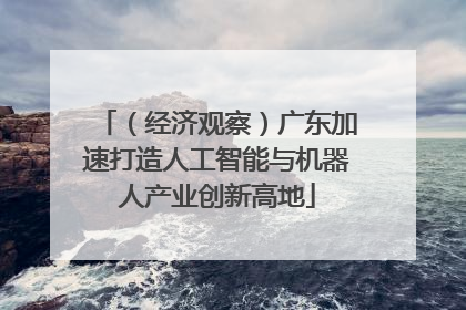 （经济观察）广东加速打造人工智能与机器人产业创新高地