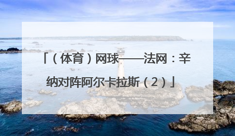 （体育）网球——法网：辛纳对阵阿尔卡拉斯（2）