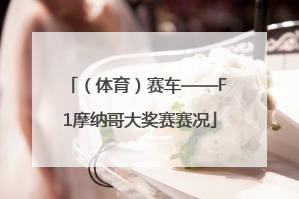 （体育）赛车——F1摩纳哥大奖赛赛况