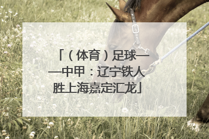 （体育）足球——中甲：辽宁铁人胜上海嘉定汇龙