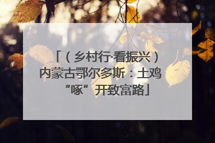 （乡村行·看振兴）内蒙古鄂尔多斯：土鸡“啄”开致富路