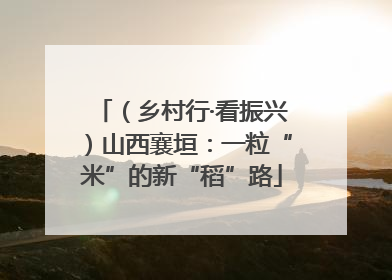 （乡村行·看振兴）山西襄垣：一粒“米”的新“稻”路