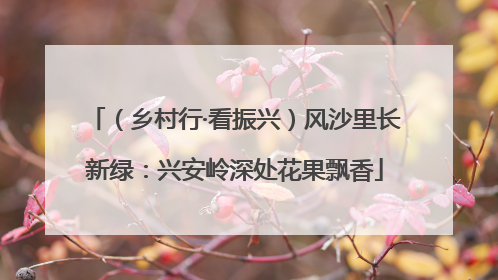 （乡村行·看振兴）风沙里长新绿：兴安岭深处花果飘香