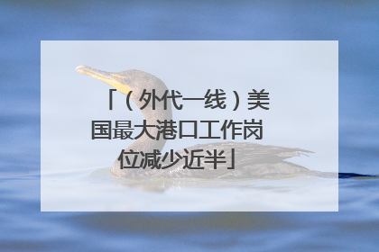 （外代一线）美国最大港口工作岗位减少近半