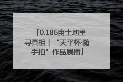 0.186亩土地里寻真相｜“天平杯·随手拍”作品展播
