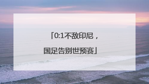 0:1不敌印尼，国足告别世预赛