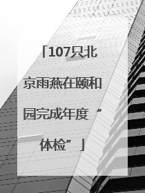 107只北京雨燕在颐和园完成年度“体检”