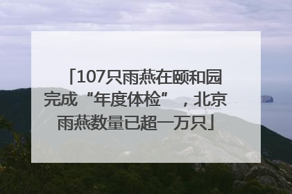107只雨燕在颐和园完成“年度体检”，北京雨燕数量已超一万只
