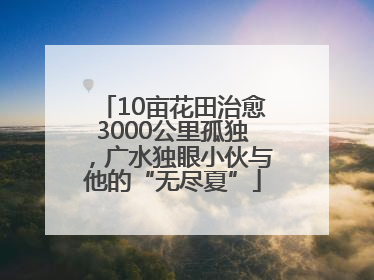 10亩花田治愈3000公里孤独，广水独眼小伙与他的“无尽夏”