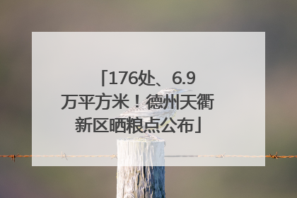 176处、6.9万平方米！德州天衢新区晒粮点公布
