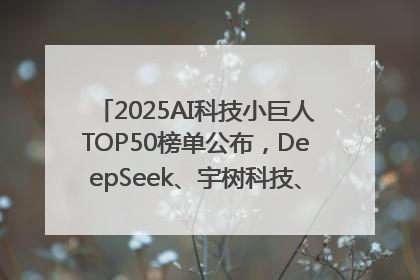 2025AI科技小巨人TOP50榜单公布，DeepSeek、宇树科技、蘑菇车联等企业荣誉上榜