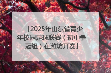 2025年山东省青少年校园足球联赛（初中争冠组）在潍坊开赛