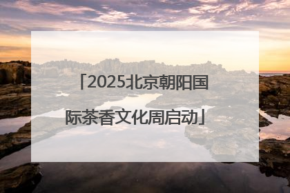 2025北京朝阳国际茶香文化周启动