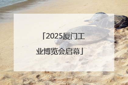2025厦门工业博览会启幕