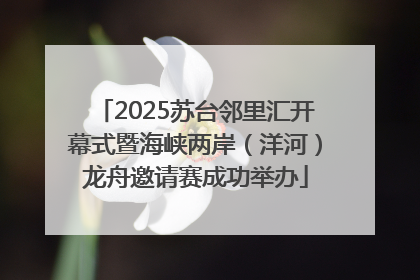 2025苏台邻里汇开幕式暨海峡两岸（洋河）龙舟邀请赛成功举办