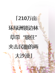 210万亩环绿洲锁边林草带“锁住”夹击民勤的两大沙漠