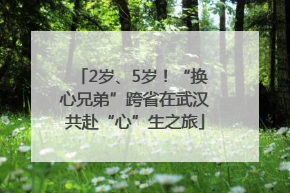 2岁、5岁！“换心兄弟”跨省在武汉共赴“心”生之旅
