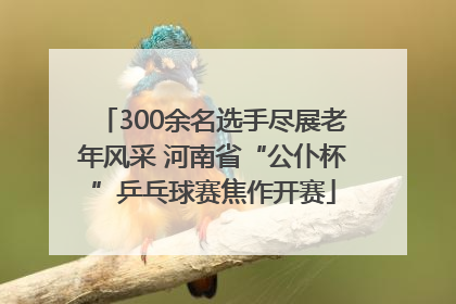 300余名选手尽展老年风采 河南省“公仆杯”乒乓球赛焦作开赛