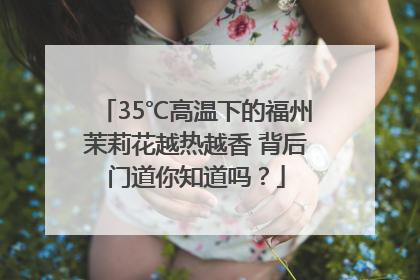 35℃高温下的福州茉莉花越热越香 背后门道你知道吗？