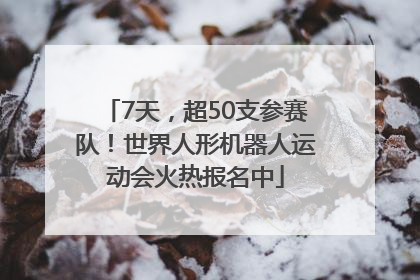 7天，超50支参赛队！世界人形机器人运动会火热报名中