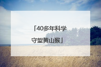 40多年科学守望黄山猴