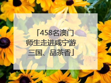 458名澳门师生走进咸宁游三国、品茶香