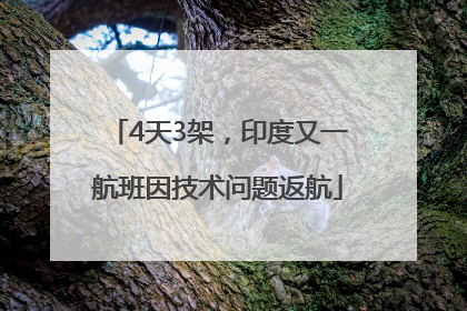 4天3架，印度又一航班因技术问题返航