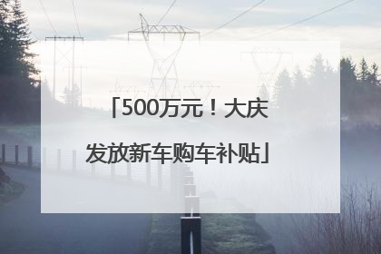 500万元！大庆发放新车购车补贴