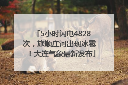 5小时闪电4828次，旅顺庄河出现冰雹！大连气象最新发布
