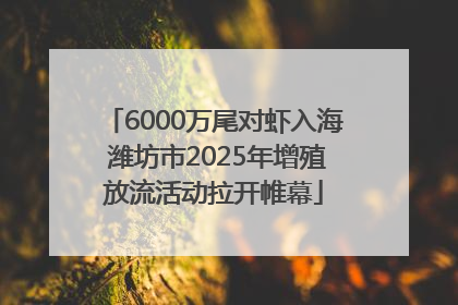 6000万尾对虾入海 潍坊市2025年增殖放流活动拉开帷幕