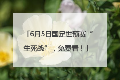 6月5日国足世预赛“生死战”，免费看！