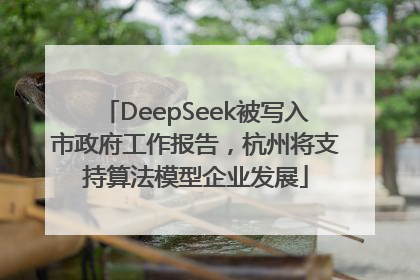 DeepSeek被写入市政府工作报告，杭州将支持算法模型企业发展