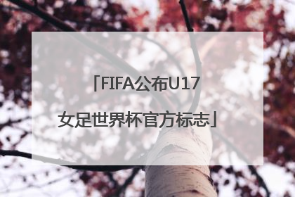 FIFA公布U17女足世界杯官方标志