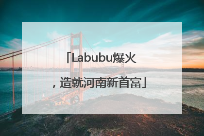 Labubu爆火，造就河南新首富