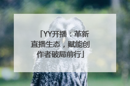 YY开播：革新直播生态，赋能创作者破局前行